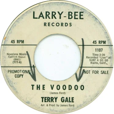 The Voodoo by Terry Gale - album cover