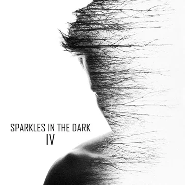 Sparkles in the Dark vol.4 by Various Artists - album cover