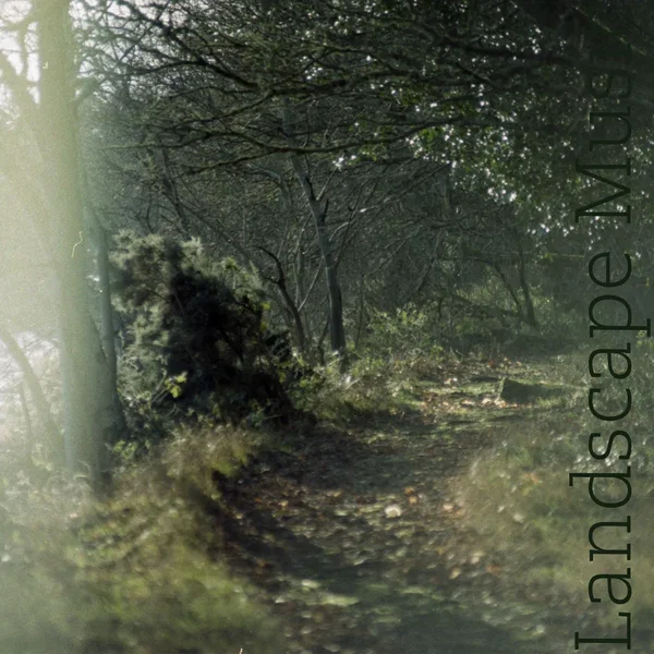 Landscape Music