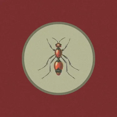 Cazador III