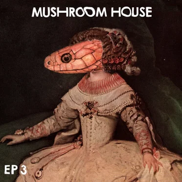 Mushroom House EP 3 by Various Artists - album cover