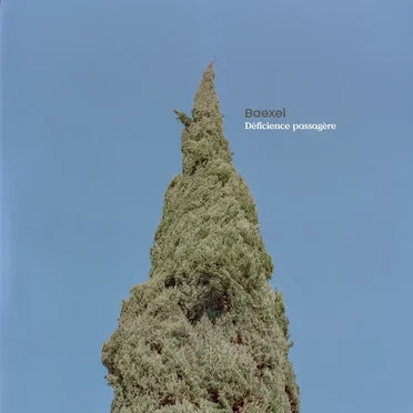 DÉFICIENCE PASAGÈRE