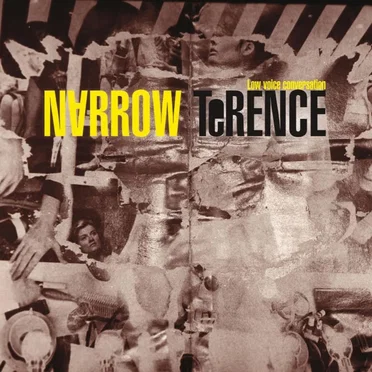 Low Voice Conversation by Narrow Terence - album cover