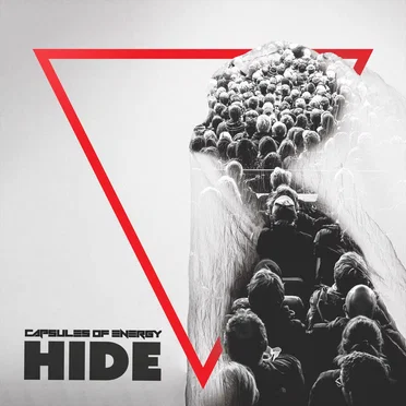 Hide