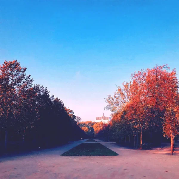 Return To Polychrome