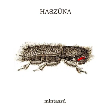 Mintaszú by HaSzüNa - album cover