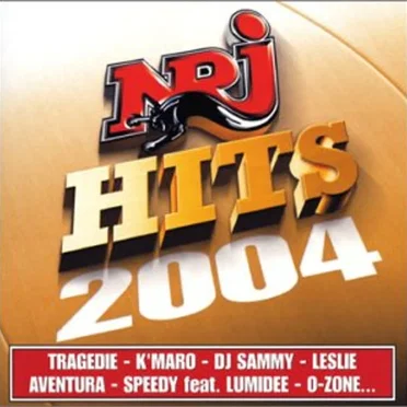 NRJ Hits 2004 by Various Artists - album cover