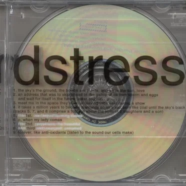 Under Thunder and Fluorescent Light by Storm and Stress - album cover
