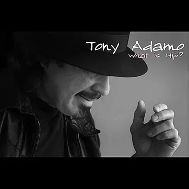 What is Hip? by Tony Adamo - album cover