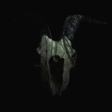 Blòt Heathen