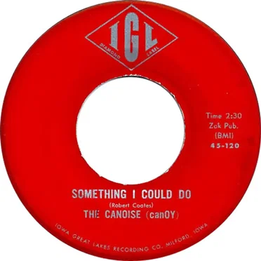 Something I Could Do by The Canoise (CanOY) - album cover