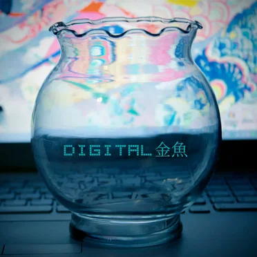 Digital Kingyo