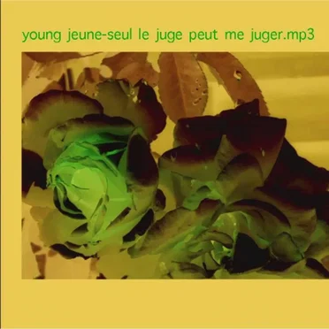 Seul le juge peut me juger