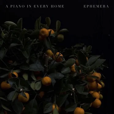 Ephemera by A Piano In Every Home - album cover