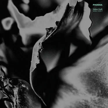 Renata Tracks II by Adam Craft - album cover
