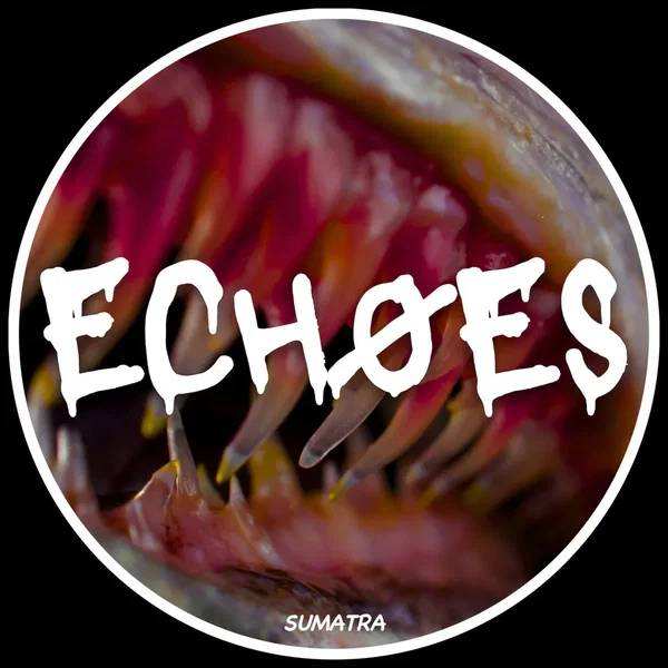 Echoes