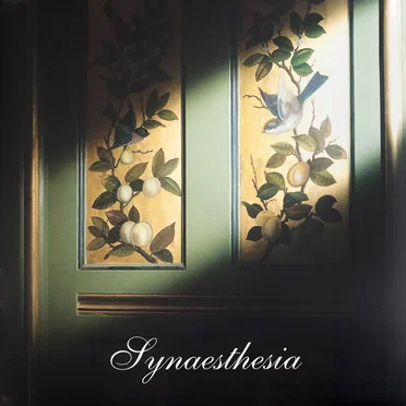 Synaesthesia by The Nightjar Orchestra - album cover