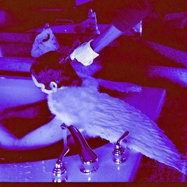 PLEASE TELL ME I’M PRETTY!!!