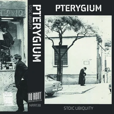 Stoic Ubiquity