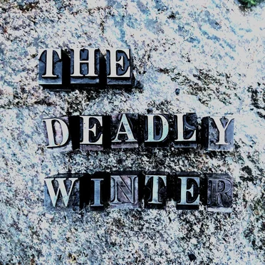 The Deadly Winter by The Deadly Winters - album cover