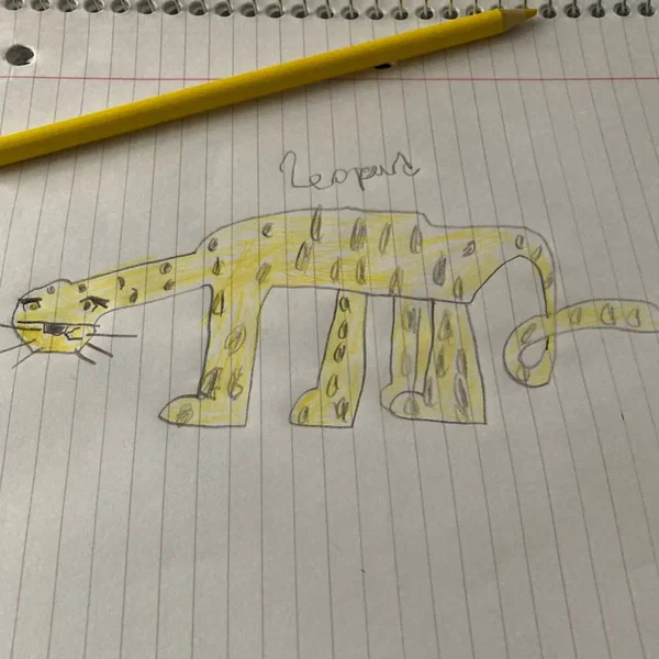 Leopard Experiment