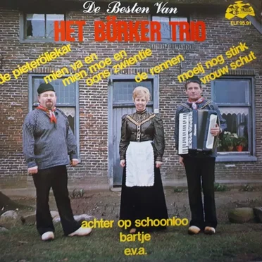 De besten van Het Börker Trio