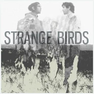 Strange Birds by Strange Birds - album cover