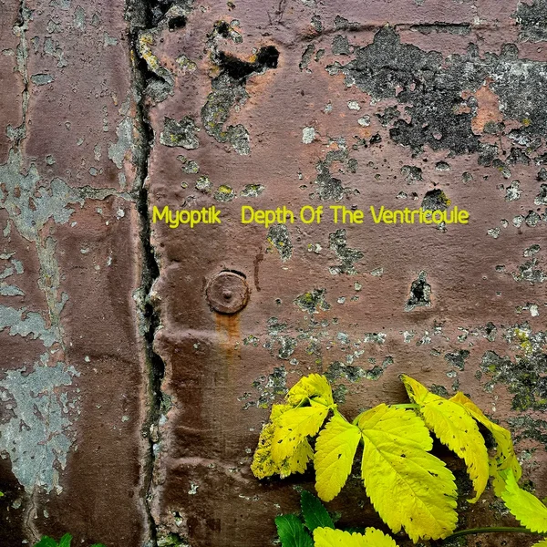 Depth of the Ventricoule