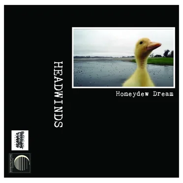 Honeydew Dream by Headwinds - album cover
