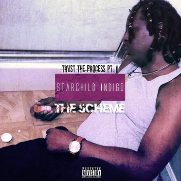 Trust the Process Pt. II the Scheme by StarChild Indigo - album cover