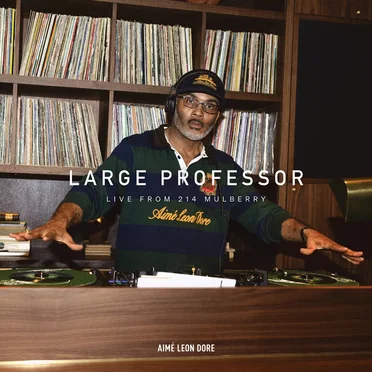 Large Professor at 214 Mulberry