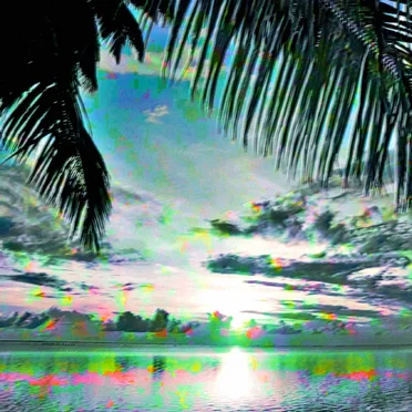Virtual Island