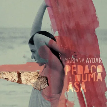 Pedaço duma asa