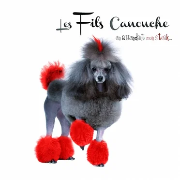 Les Fils Canouche