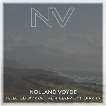 NOLLAND VOYDE