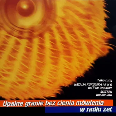 Upalne granie bez cienia mówienia w radiu zet by Various Artists - album cover