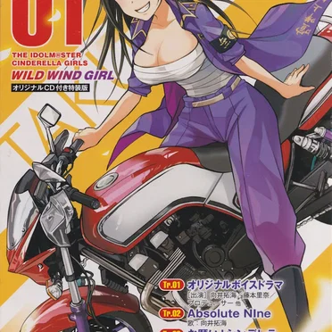 THE IDOLM@STER CINDERELLA GIRLS WILD WIND GIRL 1 オリジナル CD