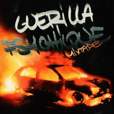 Guérilla Psychique by NLS Cru - album cover