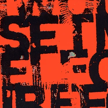 I Would Set Myself on Fire for You by I Would Set Myself on Fire for You - album cover