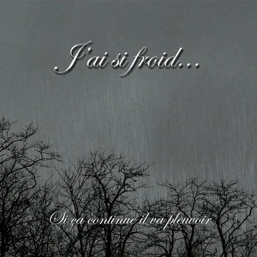 Si Ça Continue Il Va Pleuvoir by J'ai si froid... - album cover