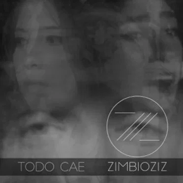 Todo Cae by Zimbioziz - album cover