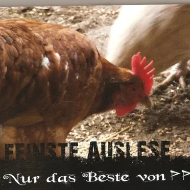 Feinste Auslese - Nur Das Beste Von PP?