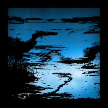 finity (extended version)
