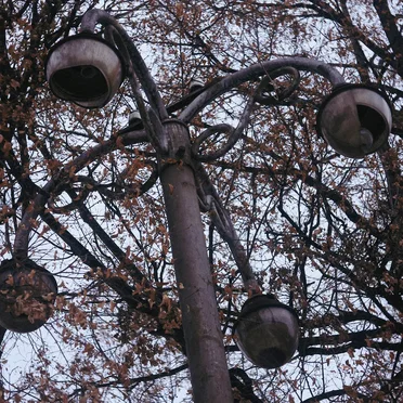 кто скоро станет невидимым ?