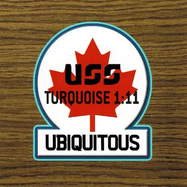 Turquoise 1:11 by Ubiquitous Synergy Seeker - album cover