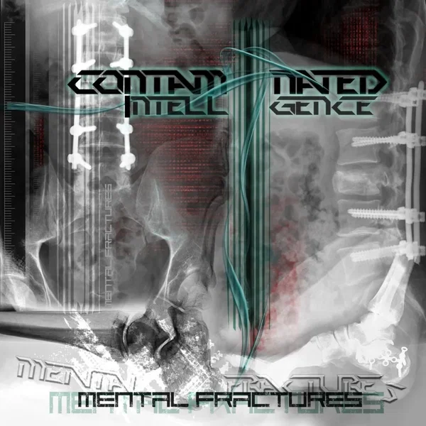 Mental Fractures