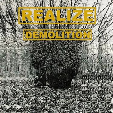 Demolition by Realize - album cover
