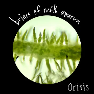 Orisis