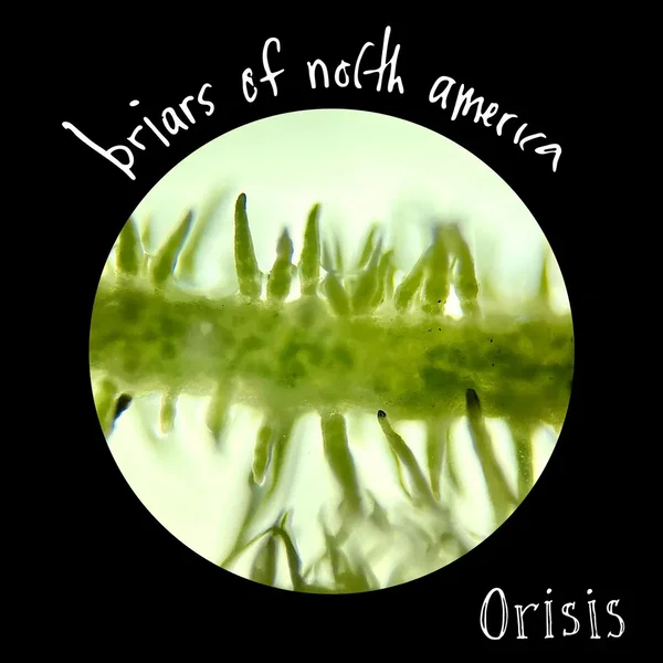 Orisis