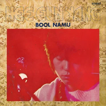 Bool Namu